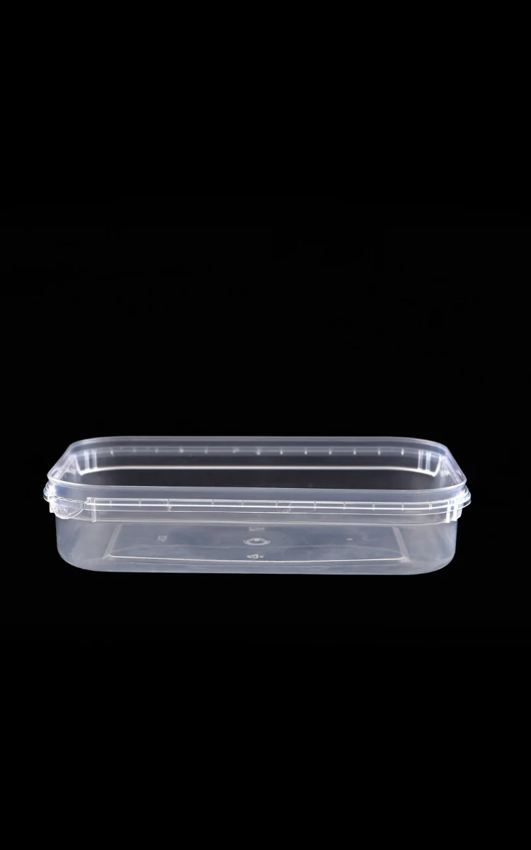 E254 Rectangular container IML 500CC E120 B185 H40