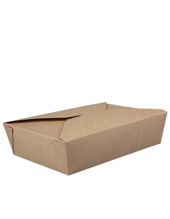 Rectangular meal box with hook closure E140 B197 H90