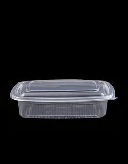 Leakproof container with integrated lid TP 1000