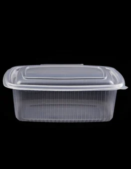 Leakproof container with integrated lid TP 2000