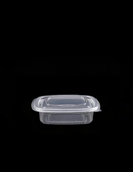 Leakproof container with integrated lid TP 250
