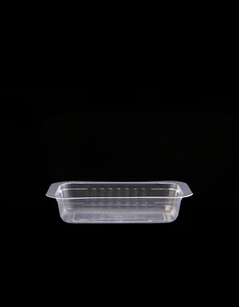 Deli container 250CC E97 B139 H30