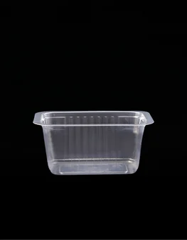 Deli container 500CC E97 B139 H65