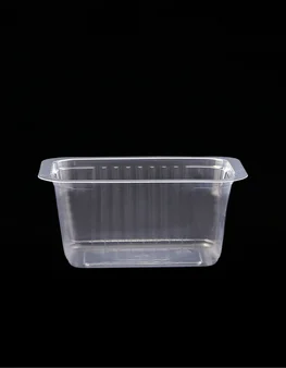 Deli container 650CC E138 B189 H37