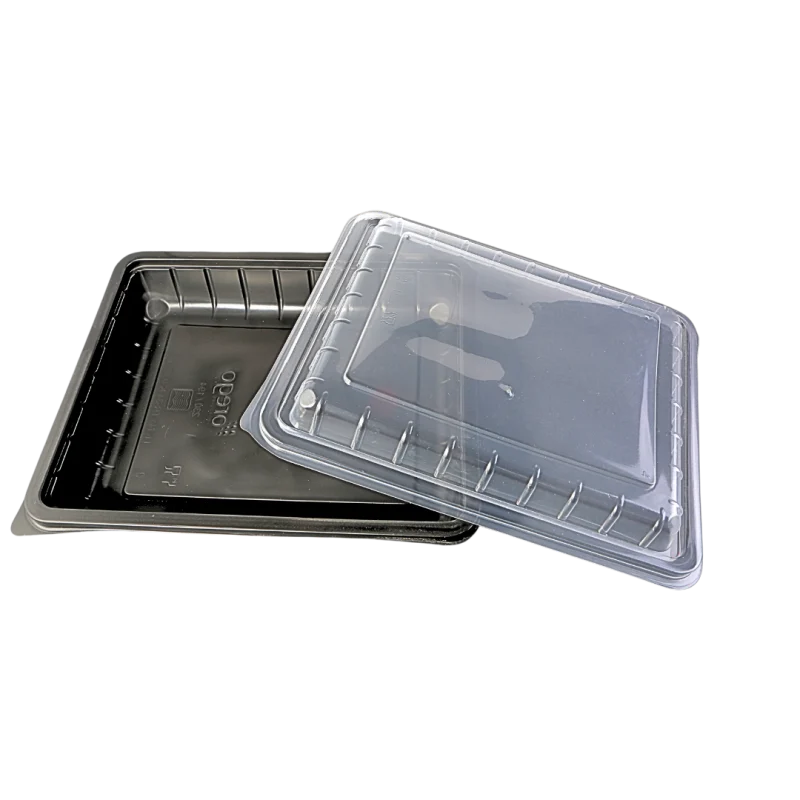 Meal container E194 B235 H40