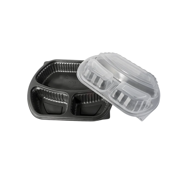 Meal container E194 B237 H40